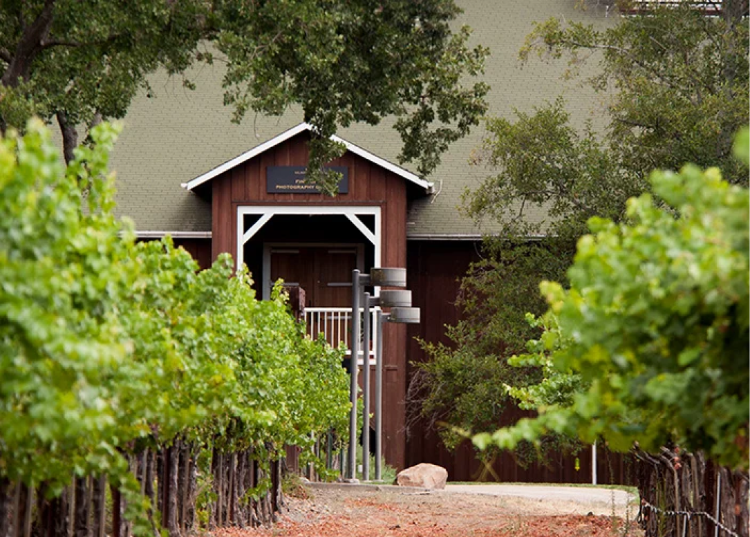 Book Mumm Napa Winery's Private Tour & Tasting Experience