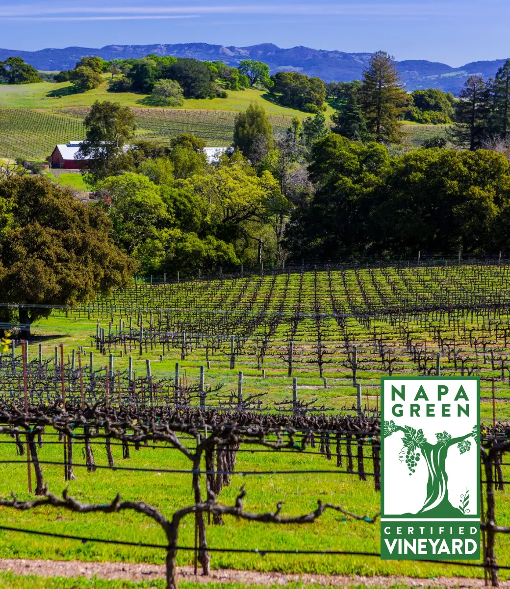 Mumm Napa Winery - Napa Green certified winery since 2011