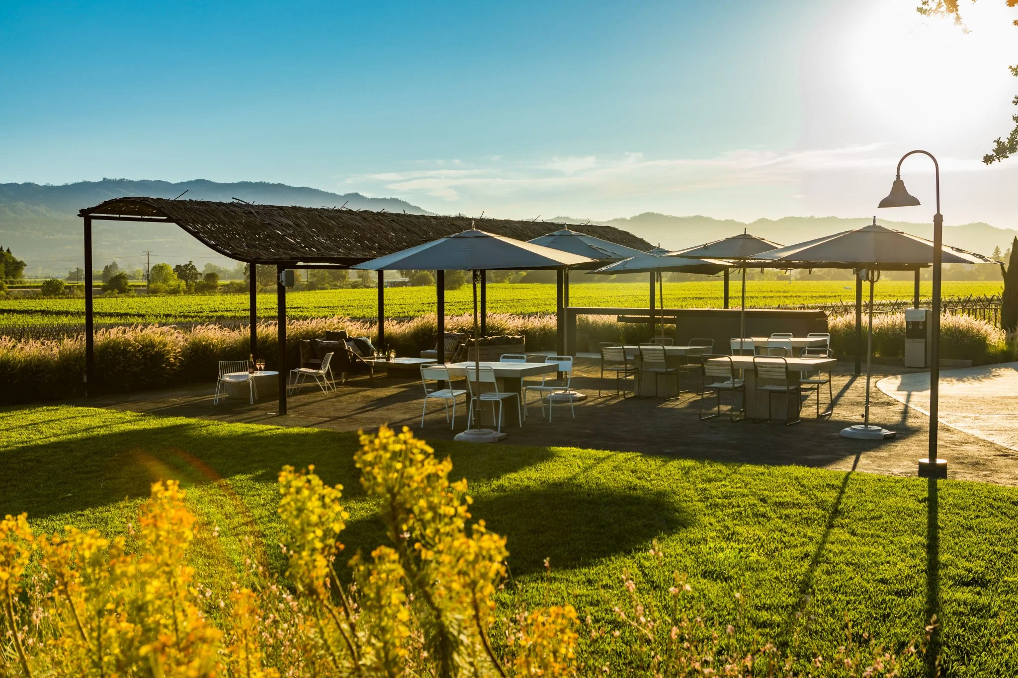 A Stroll Through Mumm Napa’s Enchanting Vineyards