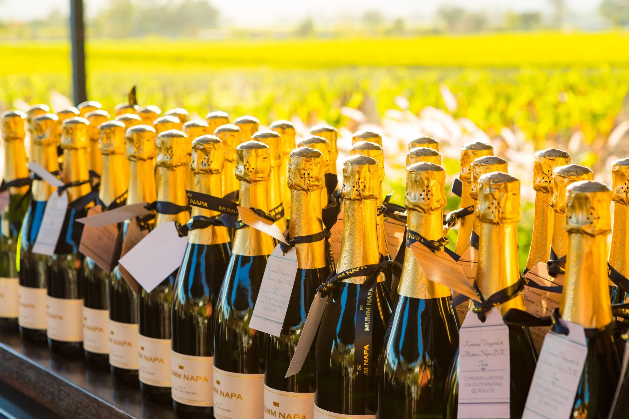 How to Store and Serve Sparkling Wine and Champagne
