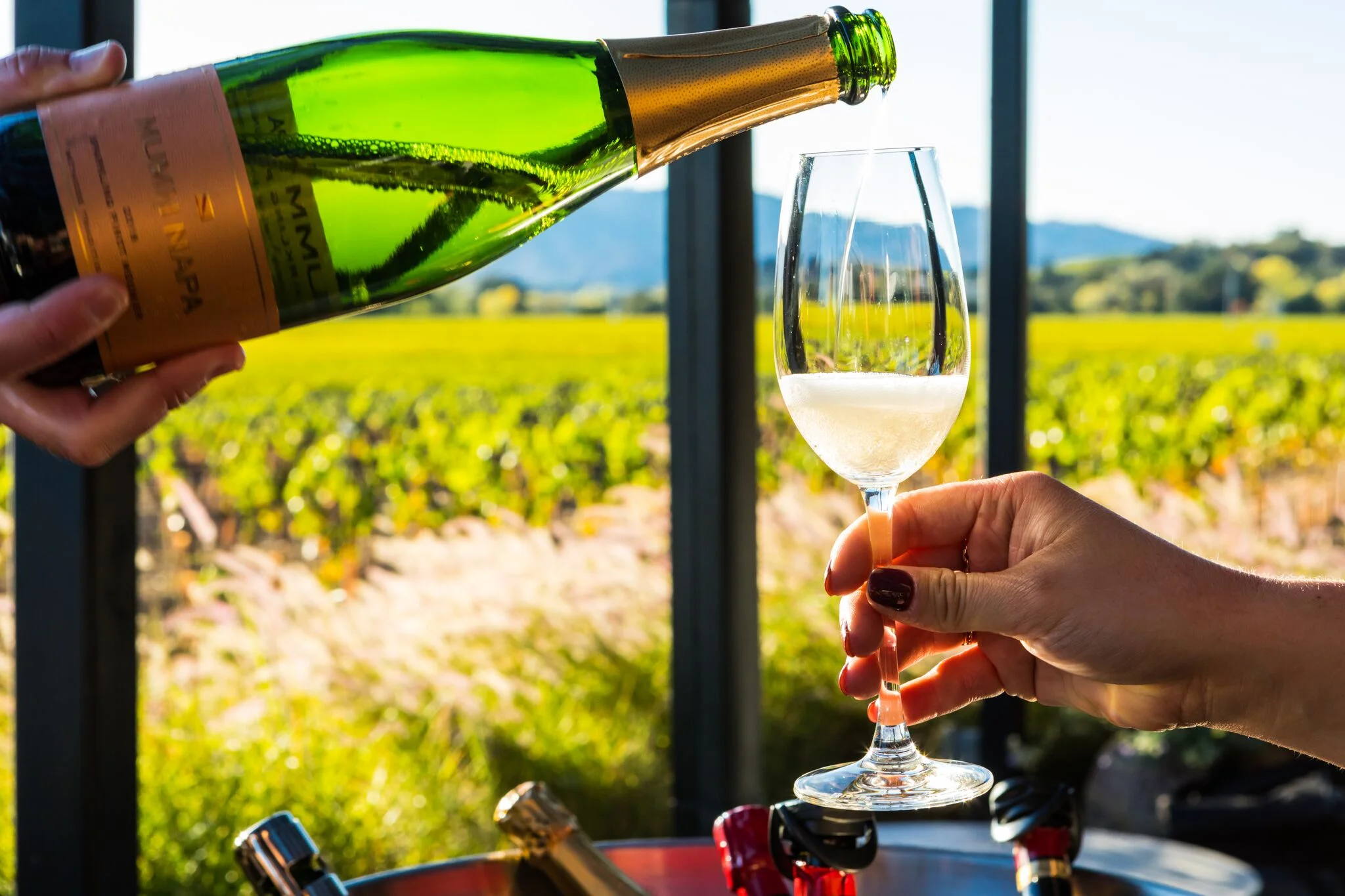 Unraveling the Mystery: Champagne Vs. Sparkling Wine